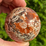 1pc 7.5-8cm Natural Money Lace Agate Sphere, Fengshui Fortune Ball, Home Decor Ornament, Holiday Gift & Crystal Stones Sphere