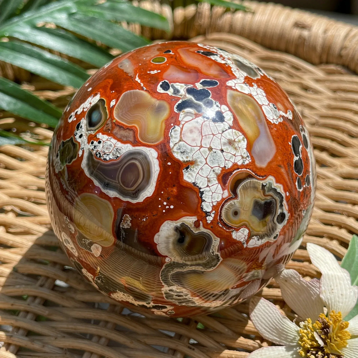 1pc 7.5-8cm Natural Money Lace Agate Sphere, Fengshui Fortune Ball, Home Decor Ornament, Holiday Gift & Crystal Stones Sphere