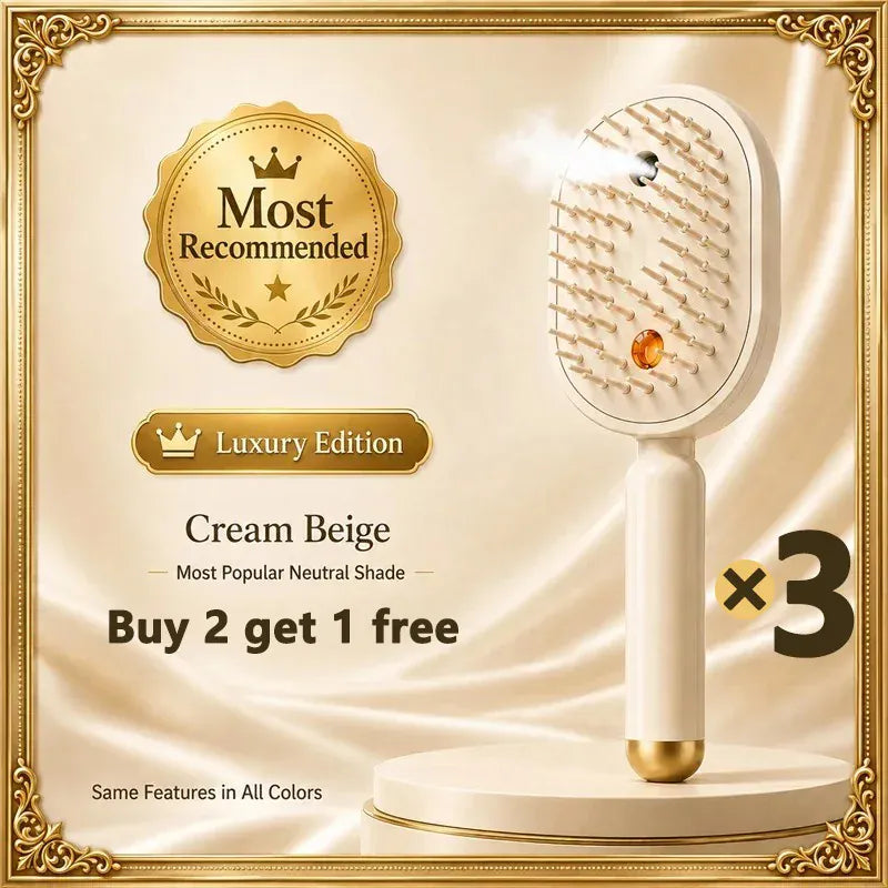 2026Women Wet & Dry Electrics Hairbrush Anti-Frizz with Water Spray Rechargeable  Fast Charging for Both Long & Short Hairs