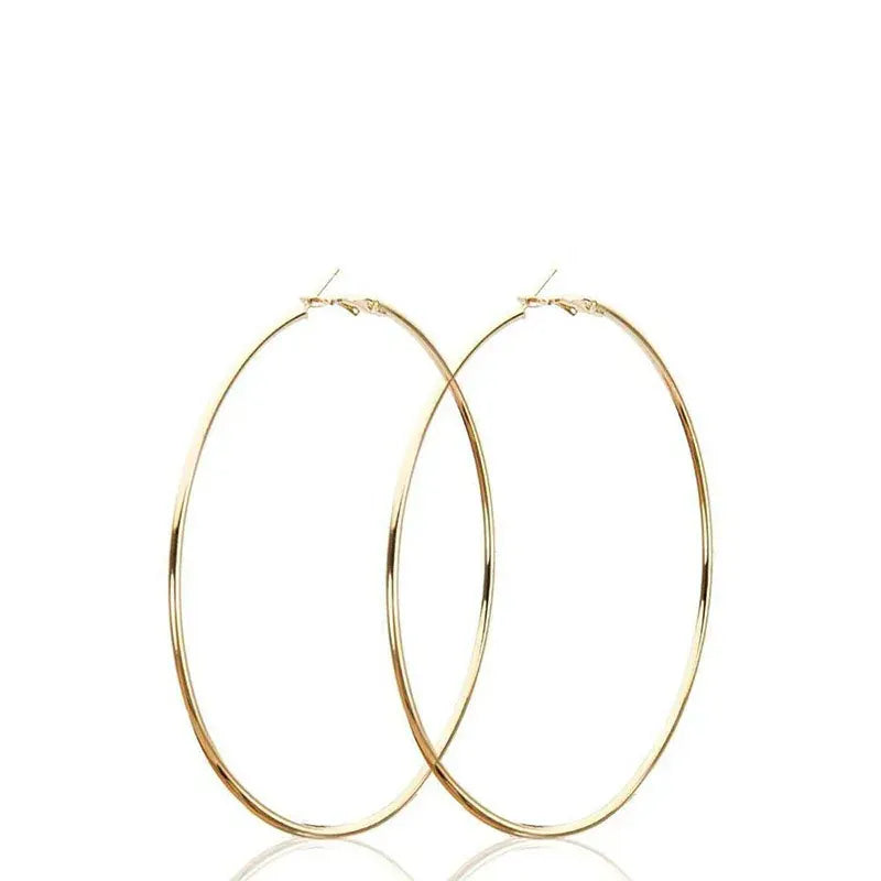 2pcs 30-100mm Small Big Circle Hoop Earrings for Women Men, Stainless Steel Ear Ring Fashion Jewelry Gift Nightclub DJ