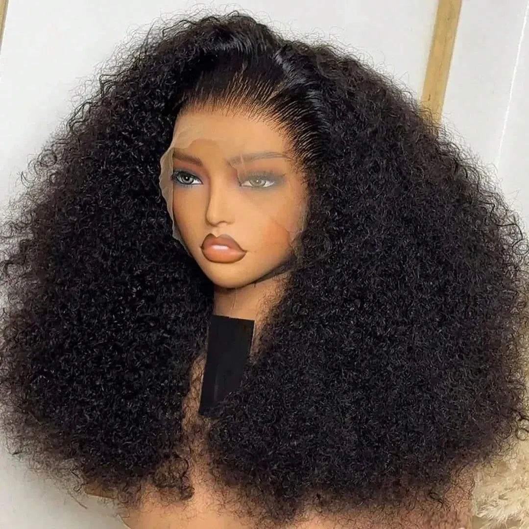 46 Inch Burmese Curly Human Hair Wig 13x4 13x6 HD Lace Frontal 250 Density Pre Plucked Glueless Natural Looking For Black Women