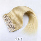 HSF Marketplace Brazilian Remy human hair clip-in extension, natural straight one-piece with seamless clips