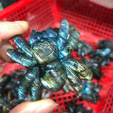 Natural Quartz Carvings Labradorite Owl Cicada Animal Crystals Healing Stones For Spiritual Decor