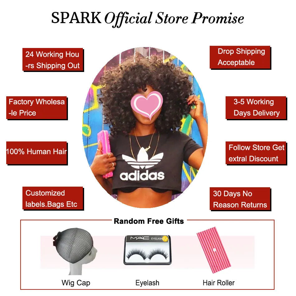 Ombre Brazilian human hair bundles with closure for loose curly styles by HSF Marketplace