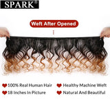 Spark Ombre Peruvian Loose Wave Bundles with Closure Remy Hair Extension Human Hair Bundles with Closure
