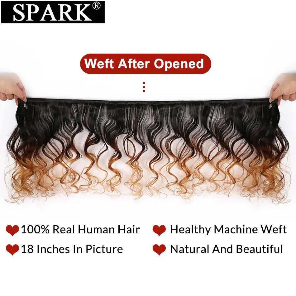 Spark Ombre Peruvian Loose Wave Bundles with Closure Remy Hair Extension Human Hair Bundles with Closure