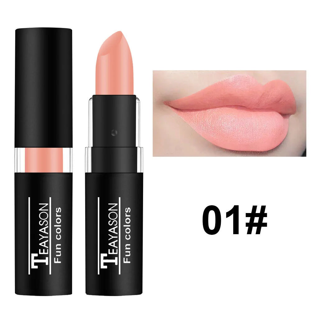 HSF Marketplace 12-color waterproof lipstick set featuring matte red, blue, purple, green, and other vibrant lip gloss shades.