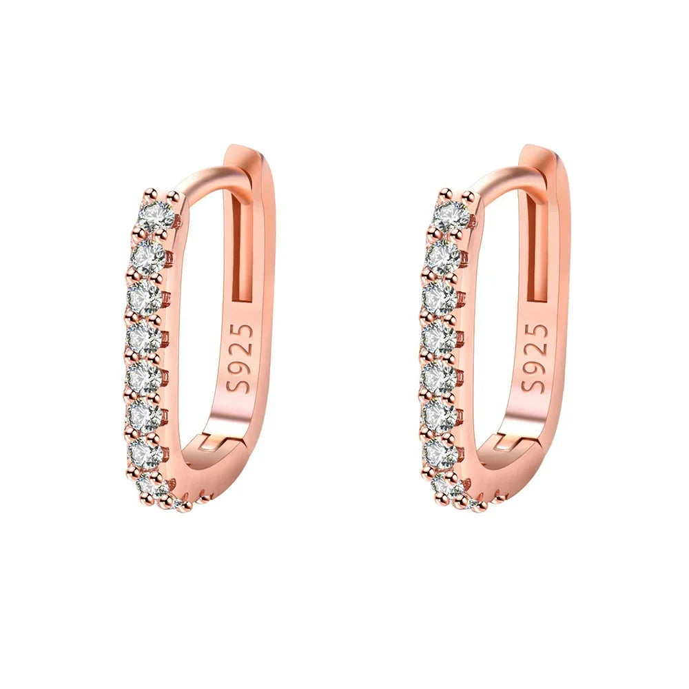 HSF Marketplace 925 sterling silver crystal zircon circle hoop earrings for women, elegant wedding jewelry