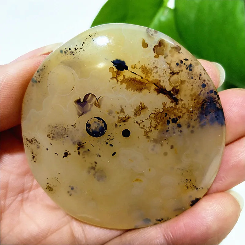 Natural Stone Waterplant Plant Small Tree Agate Palm Stone Meditation Spiritual Yoga Cure Feng Shui Crystal Room Ornament