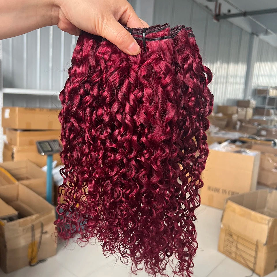 Pixie Curly Bundles with Closure 99J Burgundy Bundle with 4x4 Closure Brazilian Unprocessed Human Hair Weave Bundle with Closure