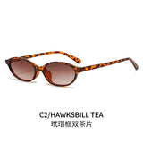 Retro oval frame sunglasses by HSF Marketplace with trendy punk cat eyes and sun protection, perfect for fashion-forward sunshade wear.