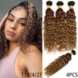 12A Ombre 1B 99J Brown Water Curly 3 Bundles With HD Lace Closure Colored Remy Malaysia Hair Wet And Wavy 3 Bundles With Closure