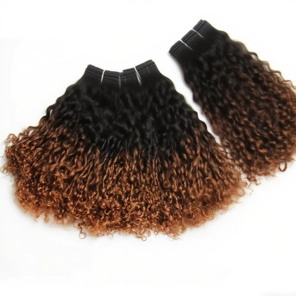 Ombre Brown T1b/30 Mongolian Pixie Curls Hair Weave Bundles with Closure Human Hair Bundles And Closure Frontal with Bundles
