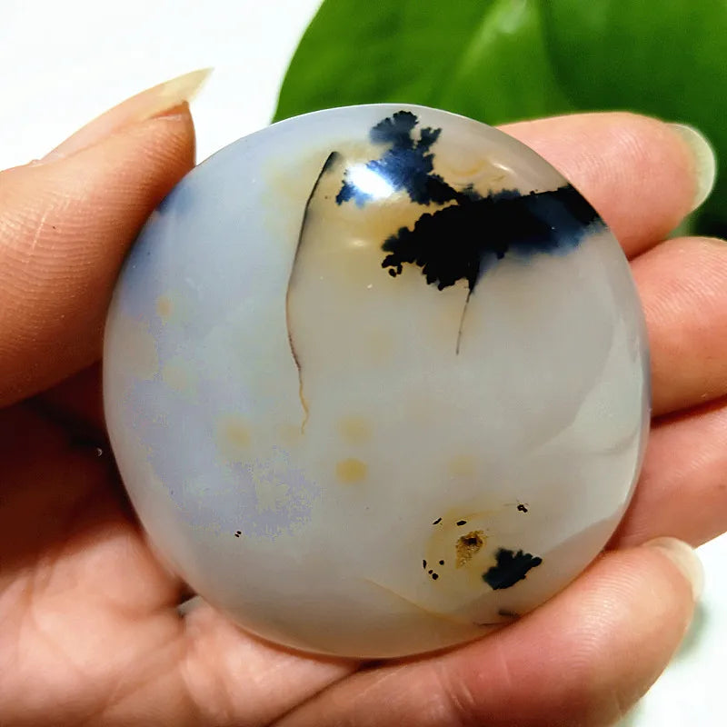 Natural Stone Waterplant Plant Small Tree Agate Palm Stone Meditation Spiritual Yoga Cure Feng Shui Crystal Room Ornament
