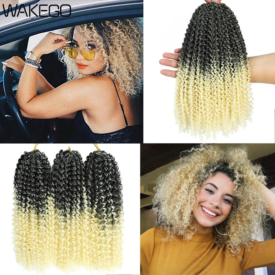 Wakego 12 Inch Marlybob Crochet Braids Afro Curly Short Passion Twist Marlybob Jerry Curl Crochet Hair Kinky Twist Braiding Hair