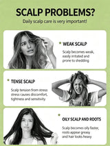 Anti-Tangle, Smoothing, Scalp Massage, Wet & Dry Use Hair Brush Electric Spray Air Cushion Massage Hair Brush