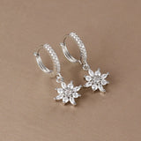 HSF Marketplace stainless steel star dangle earrings with sparkling zircon accents