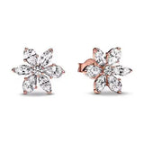 925 sterling silver herbarium cluster heart halo stud earrings for women, sparkling party and wedding jewelry