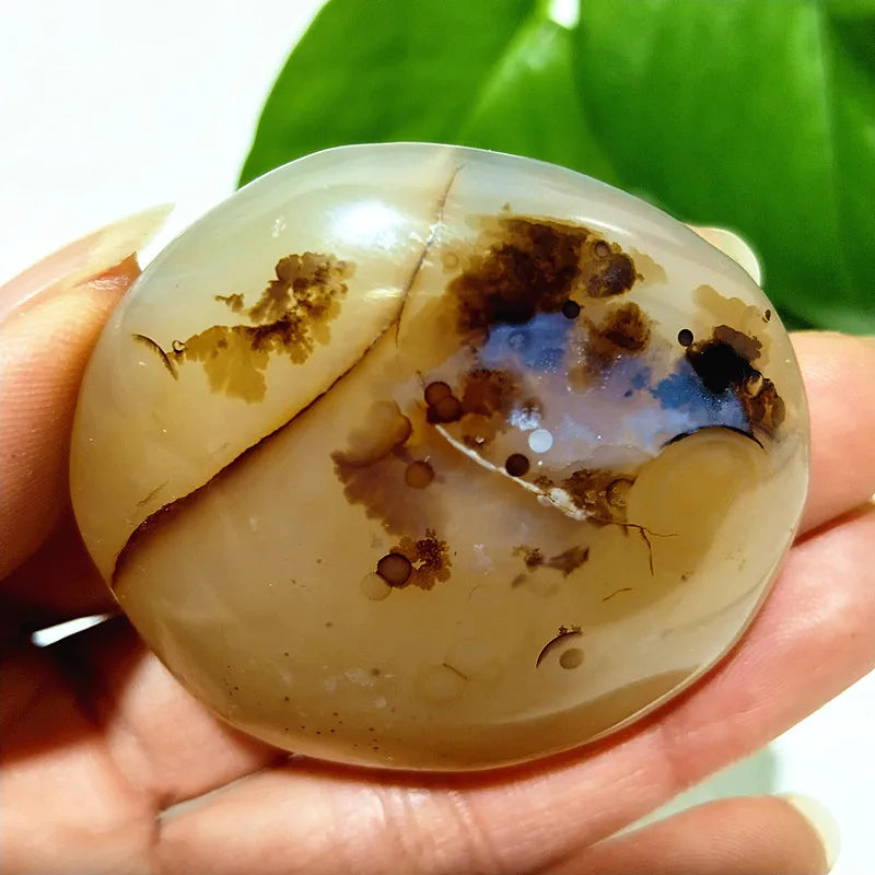 Natural Stone Waterplant Plant Small Tree Agate Palm Stone Meditation Spiritual Yoga Cure Feng Shui Crystal Room Ornament