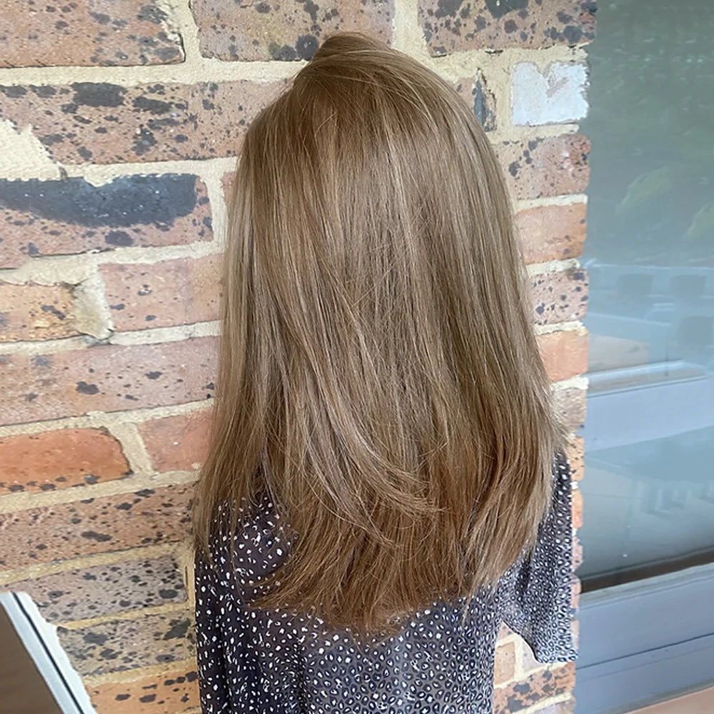 Caramel Colour with Honey Highlights 200% Density Smoothest Straitght Lace Front Wig Brazilian Human Hair Full Lace Wigs HD 13x6