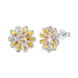 Orstarry S925 sterling silver 18k gold classic knot stud earrings for women, close-up view