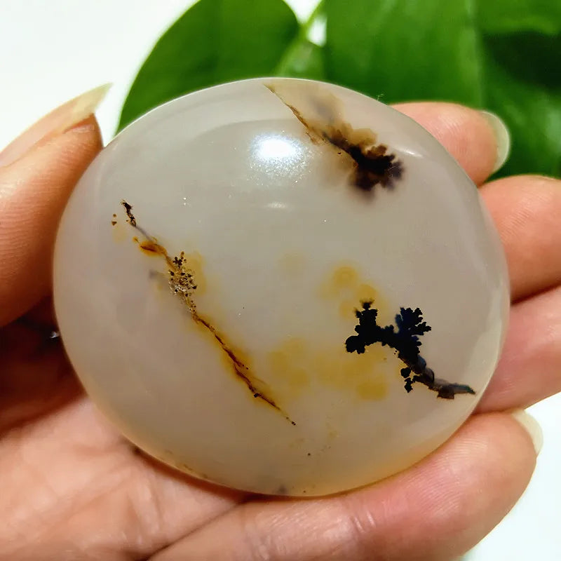 Natural Stone Waterplant Plant Small Tree Agate Palm Stone Meditation Spiritual Yoga Cure Feng Shui Crystal Room Ornament