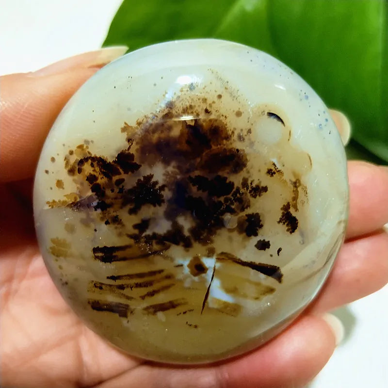 Natural Stone Waterplant Plant Small Tree Agate Palm Stone Meditation Spiritual Yoga Cure Feng Shui Crystal Room Ornament