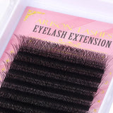 Arison 3D-6D W-Shape false eyelash extensions for volume fans in a curled lash tray display