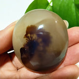Natural Stone Waterplant Plant Small Tree Agate Palm Stone Meditation Spiritual Yoga Cure Feng Shui Crystal Room Ornament