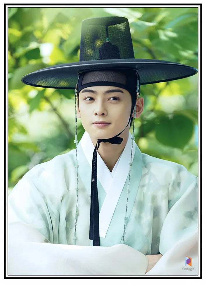 Rookie Academian Goo Hae-ryung canvas poster featuring Korean drama artwork for home decor