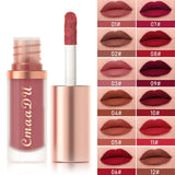 Waterproof matte velvet lip glaze lipstick in a moisturizing, long-lasting non-stick formula, HSF brand