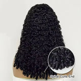 12A Burmese Curly Human Hair Wigs Brazilian 250% Density 13x6 HD Transparent Lace Frontal Wig For Women Water Wave Lace Front Wigs With Spiral End