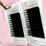 Abonnie Easy Fan matte black false eyelashes for volume extensions, displayed in a lash tray