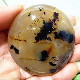 Natural Stone Waterplant Plant Small Tree Agate Palm Stone Meditation Spiritual Yoga Cure Feng Shui Crystal Room Ornament