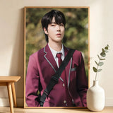 True Beauty Korean drama poster wall art for home decor, HSF Marketplace K-culture merch