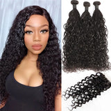 12A Ombre 1B 99J Brown Water Curly 3 Bundles With HD Lace Closure Colored Remy Malaysia Hair Wet And Wavy 3 Bundles With Closure