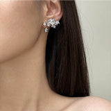 Shiny Star 925 silver needle earrings with AAA zircon for women, HSF Marketplace jewelry