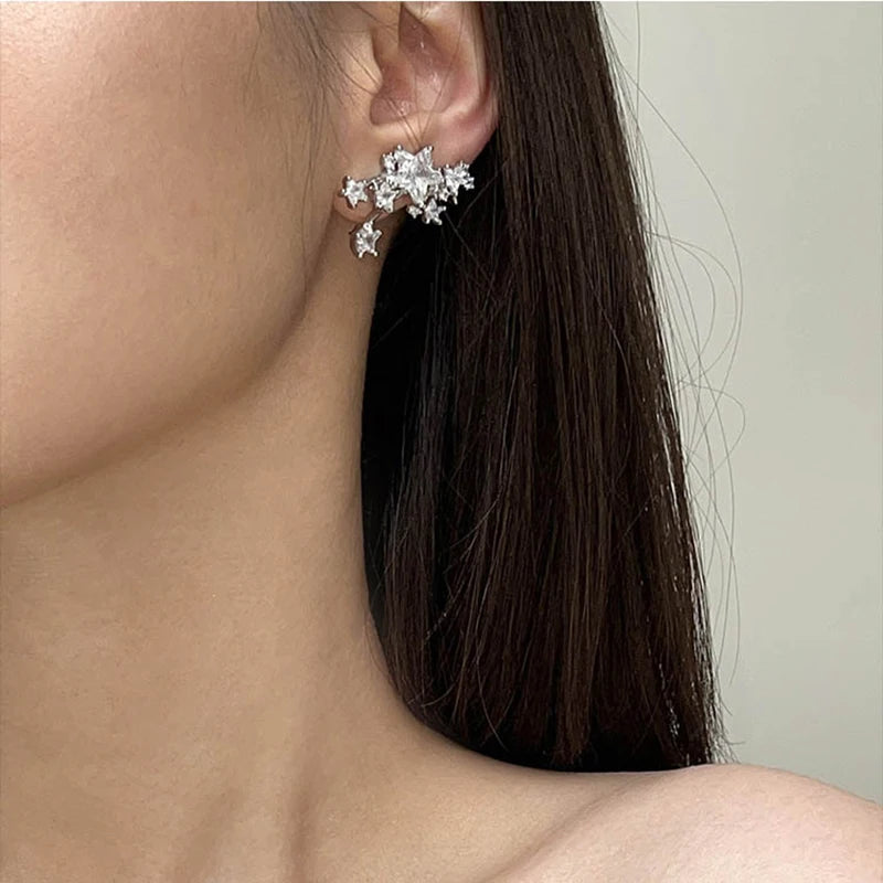 Shiny Star 925 silver needle earrings with AAA zircon for women, HSF Marketplace jewelry