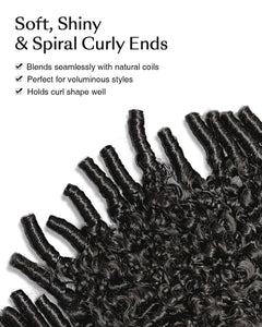 Glueless Burmese Curly Human Hair Wig Ready to Wear 13x4 Deep Wave Curly Lace Front Human Hair Wigs For Woman on Clearance Sale for Women Ready to Wear On Clearance Sale Pre Plucked Wig Party Work Daily Life