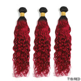 12A Ombre 1B 99J Brown Water Curly 3 Bundles With HD Lace Closure Colored Remy Malaysia Hair Wet And Wavy 3 Bundles With Closure