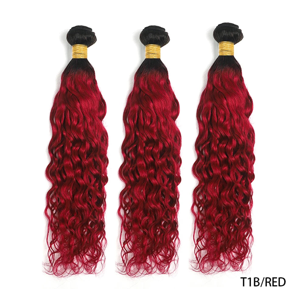 12A Ombre 1B 99J Brown Water Curly 3 Bundles With HD Lace Closure Colored Remy Malaysia Hair Wet And Wavy 3 Bundles With Closure