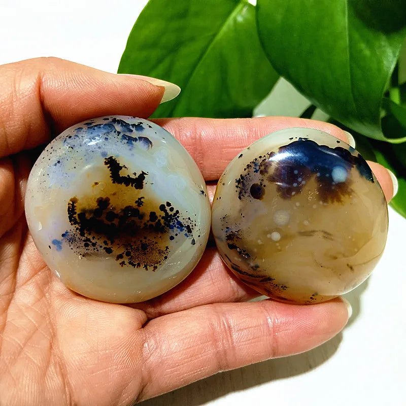 Natural Stone Waterplant Plant Small Tree Agate Palm Stone Meditation Spiritual Yoga Cure Feng Shui Crystal Room Ornament