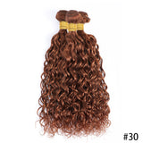 12A Ombre 1B 99J Brown Water Curly 3 Bundles With HD Lace Closure Colored Remy Malaysia Hair Wet And Wavy 3 Bundles With Closure
