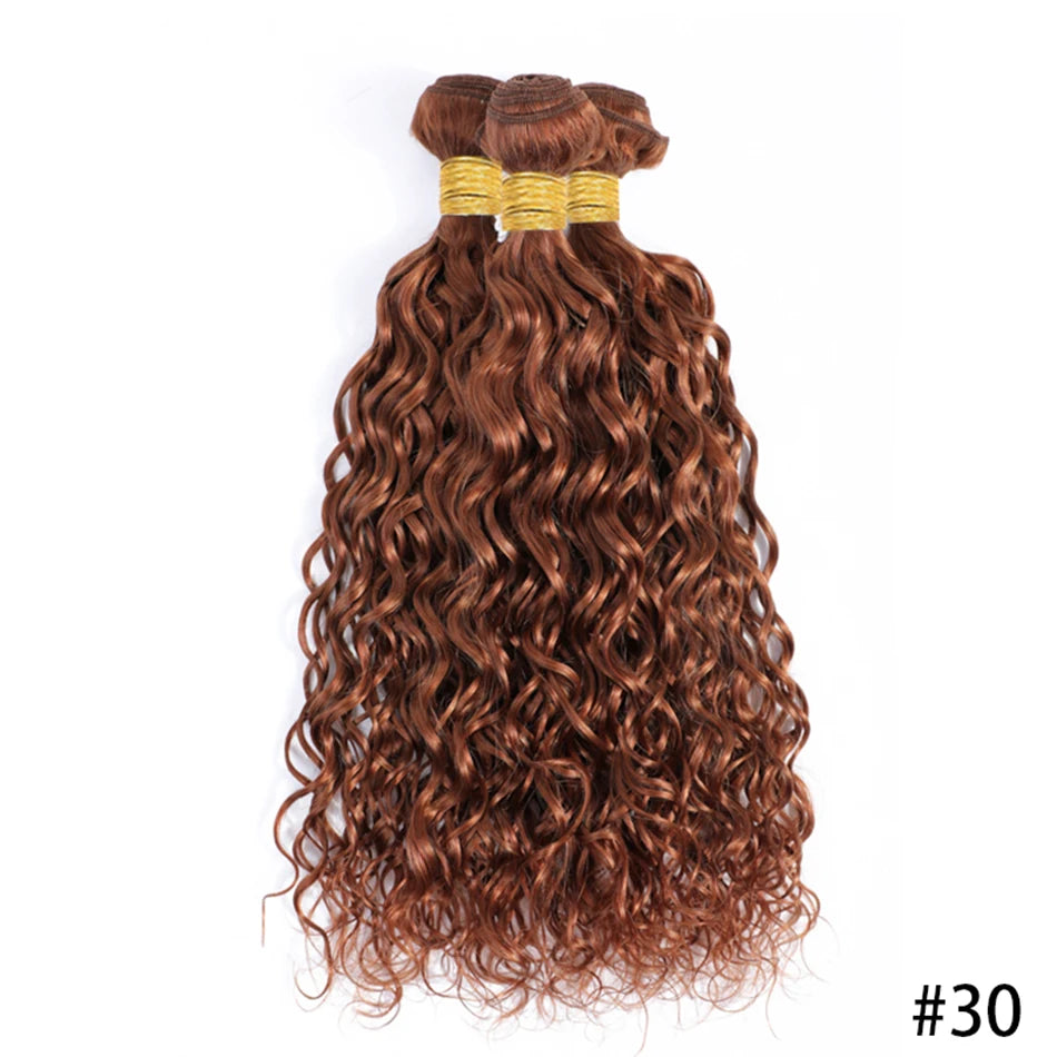 12A Ombre 1B 99J Brown Water Curly 3 Bundles With HD Lace Closure Colored Remy Malaysia Hair Wet And Wavy 3 Bundles With Closure