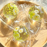 Maltose  Spring Daisy Ball Squishy Ball Squeeze Toy Stress Relief Decompression Toys New Year Chrismas Gift
