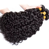 Water Wave Bundles With 4x4 Lace Closure Burmese Virgin Human Hair Water Curly Bundles With Closure Human Hair Weave Extension