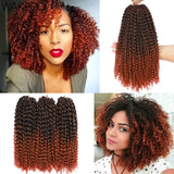 Wakego 12 Inch Marlybob Crochet Braids Afro Curly Short Passion Twist Marlybob Jerry Curl Crochet Hair Kinky Twist Braiding Hair
