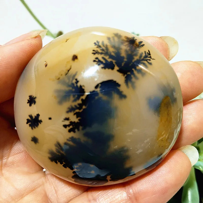Natural Stone Waterplant Plant Small Tree Agate Palm Stone Meditation Spiritual Yoga Cure Feng Shui Crystal Room Ornament