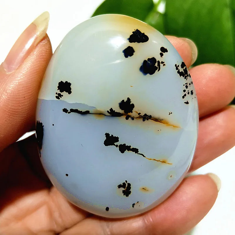 Natural Stone Waterplant Plant Small Tree Agate Palm Stone Meditation Spiritual Yoga Cure Feng Shui Crystal Room Ornament