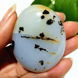 Natural Stone Waterplant Plant Small Tree Agate Palm Stone Meditation Spiritual Yoga Cure Feng Shui Crystal Room Ornament